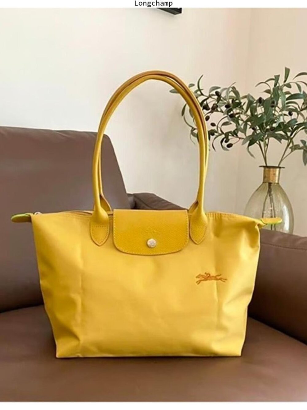 Longchamp women's bags
